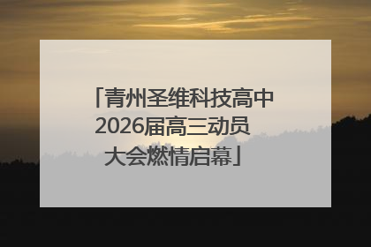 青州圣维科技高中2026届高三动员大会燃情启幕