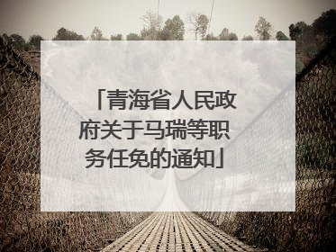 青海省人民政府关于马瑞等职务任免的通知