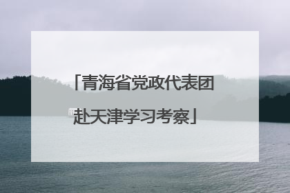 青海省党政代表团赴天津学习考察