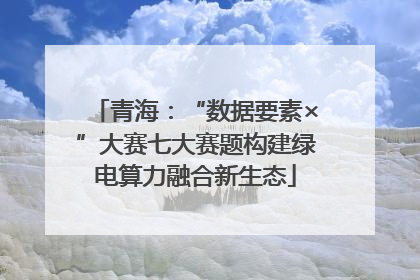 青海：“数据要素×”大赛七大赛题构建绿电算力融合新生态