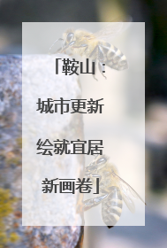 鞍山：城市更新绘就宜居新画卷