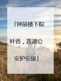 钟鼓楼下粽叶香，莲湖公安护安康