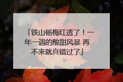 铁山杨梅红透了！一年一遇的酸甜风暴 再不来就真错过了