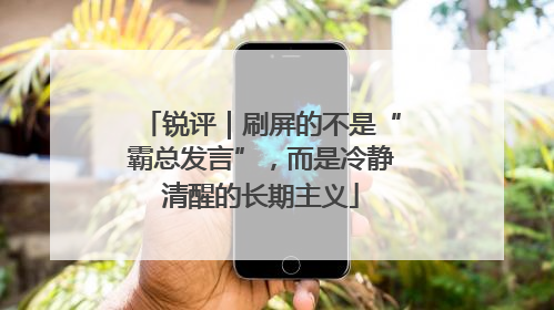 锐评｜刷屏的不是“霸总发言”，而是冷静清醒的长期主义
