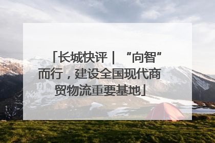 长城快评｜“向智”而行，建设全国现代商贸物流重要基地