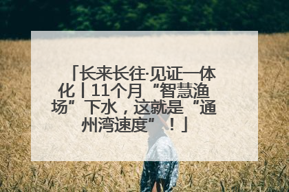 长来长往·见证一体化丨11个月“智慧渔场”下水，这就是“通州湾速度”！