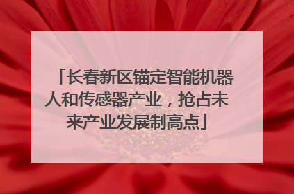 长春新区锚定智能机器人和传感器产业，抢占未来产业发展制高点