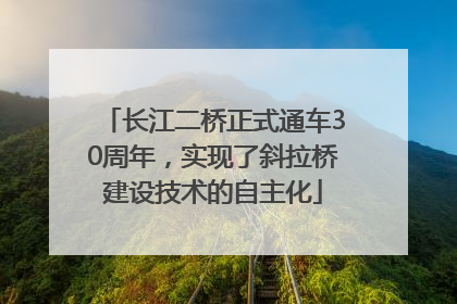 长江二桥正式通车30周年，实现了斜拉桥建设技术的自主化