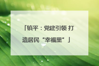 镇平：党建引领 打造居民“幸福里”
