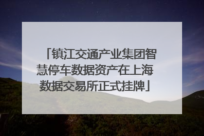 镇江交通产业集团智慧停车数据资产在上海数据交易所正式挂牌
