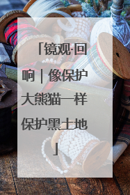 镜观·回响｜像保护大熊猫一样保护黑土地