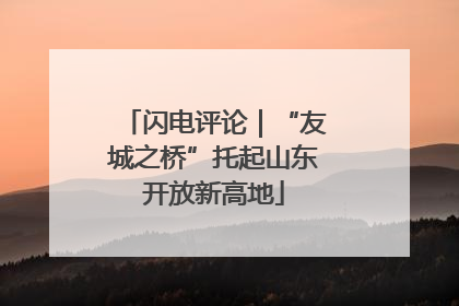 闪电评论｜“友城之桥”托起山东开放新高地
