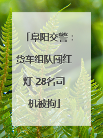 阜阳交警：货车组队闯红灯 28名司机被拘