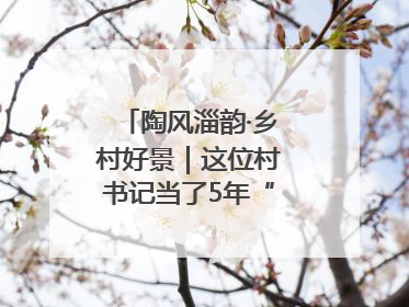 陶风淄韵·乡村好景｜这位村书记当了5年“首席证婚人”