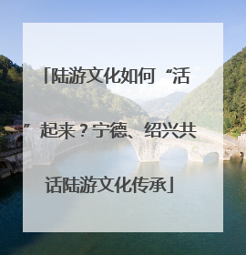 陆游文化如何“活 ”起来？宁德、绍兴共话陆游文化传承