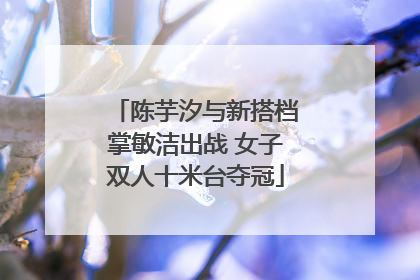 陈芋汐与新搭档掌敏洁出战 女子双人十米台夺冠