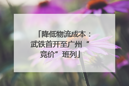 降低物流成本：武铁首开至广州“竞价”班列