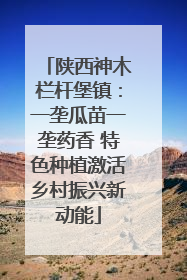 陕西神木栏杆堡镇：一垄瓜苗一垄药香 特色种植激活乡村振兴新动能