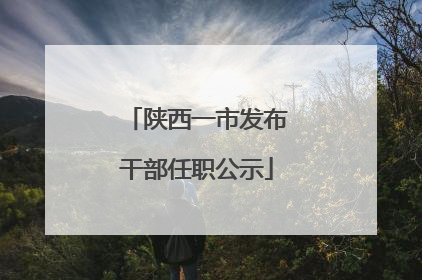 陕西一市发布干部任职公示