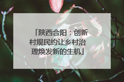 陕西合阳：创新村规民约让乡村治理焕发新的生机