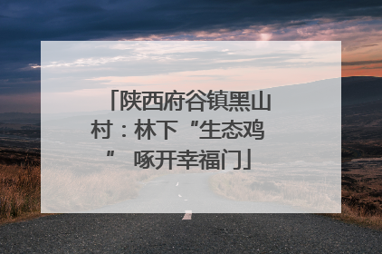 陕西府谷镇黑山村：林下“生态鸡” 啄开幸福门