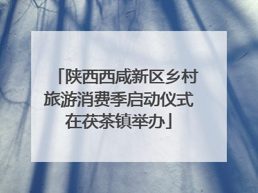 陕西西咸新区乡村旅游消费季启动仪式在茯茶镇举办
