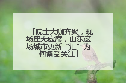 院士大咖齐聚，现场座无虚席，山东这场城市更新“汇”为何备受关注