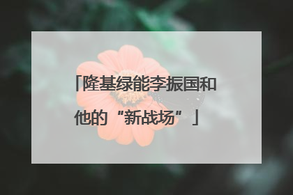 隆基绿能李振国和他的“新战场”
