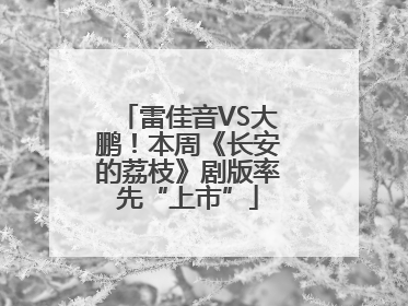 雷佳音VS大鹏！本周《长安的荔枝》剧版率先“上市”