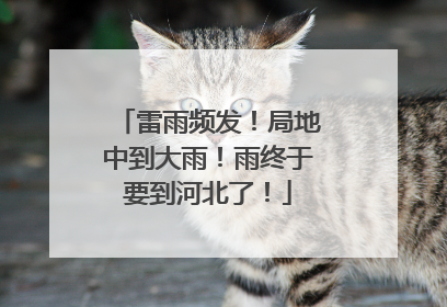 雷雨频发！局地中到大雨！雨终于要到河北了！