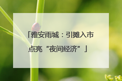 雅安雨城：引摊入市 点亮“夜间经济”