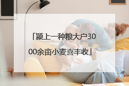 颍上一种粮大户3000余亩小麦喜丰收