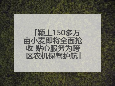颍上150多万亩小麦即将全面抢收 贴心服务为跨区农机保驾护航