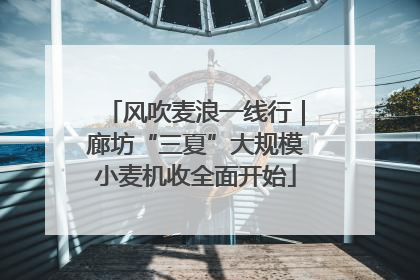 风吹麦浪一线行｜廊坊“三夏”大规模小麦机收全面开始
