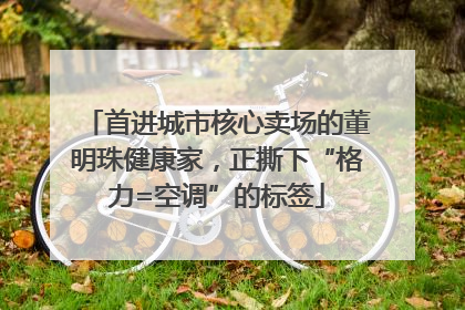 首进城市核心卖场的董明珠健康家，正撕下“格力=空调”的标签