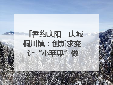 香约庆阳｜庆城桐川镇：创新求变 让“小苹果”做成“大产业”
