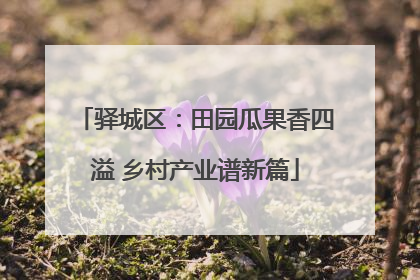 驿城区：田园瓜果香四溢 乡村产业谱新篇