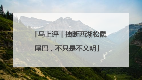 马上评｜拽断西湖松鼠尾巴，不只是不文明