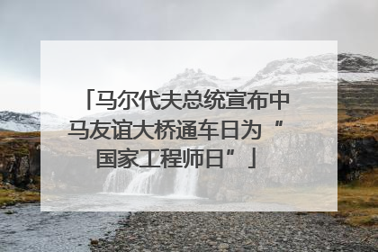 马尔代夫总统宣布中马友谊大桥通车日为“国家工程师日”