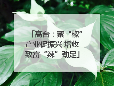 高台：聚“椒”产业促振兴 增收致富“辣”劲足