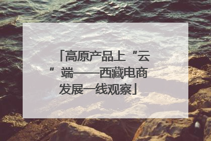 高原产品上“云”端——西藏电商发展一线观察