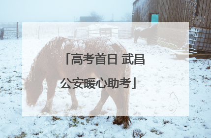 高考首日 武昌公安暖心助考
