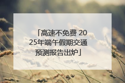 高速不免费 2025年端午假期交通预测报告出炉