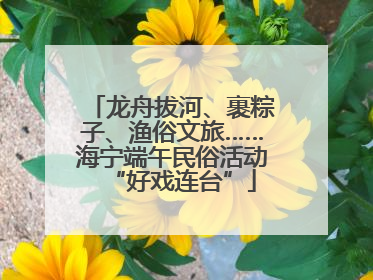 龙舟拔河、裹粽子、渔俗文旅……海宁端午民俗活动“好戏连台”