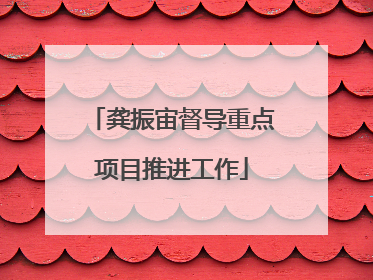 龚振宙督导重点项目推进工作