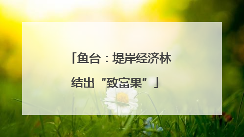 鱼台：堤岸经济林结出“致富果”