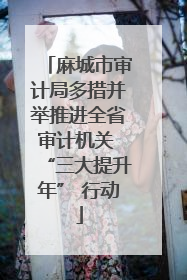 麻城市审计局多措并举推进全省审计机关 “三大提升年” 行动