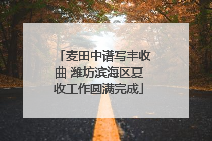 麦田中谱写丰收曲 潍坊滨海区夏收工作圆满完成