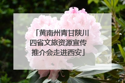 黄南州青甘陕川四省文旅资源宣传推介会走进西安