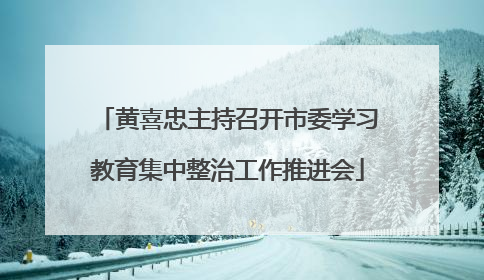 黄喜忠主持召开市委学习教育集中整治工作推进会